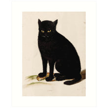 Load image into Gallery viewer, 8x10 Prints