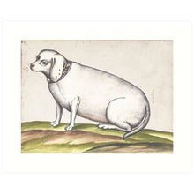 Load image into Gallery viewer, 8x10 Prints