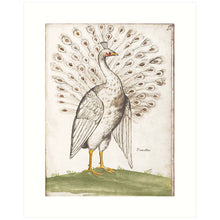 Load image into Gallery viewer, 8x10 Prints