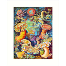 Load image into Gallery viewer, 8x10 Prints