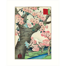 Load image into Gallery viewer, 8x10 Prints