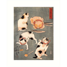 Load image into Gallery viewer, 8x10 Prints