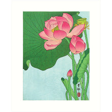 Load image into Gallery viewer, 8x10 Prints