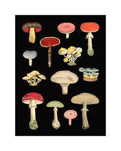 Load image into Gallery viewer, 8x10 Prints