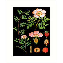 Load image into Gallery viewer, 8x10 Prints