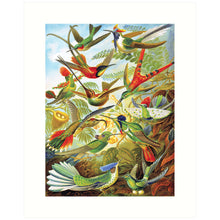 Load image into Gallery viewer, 8x10 Prints