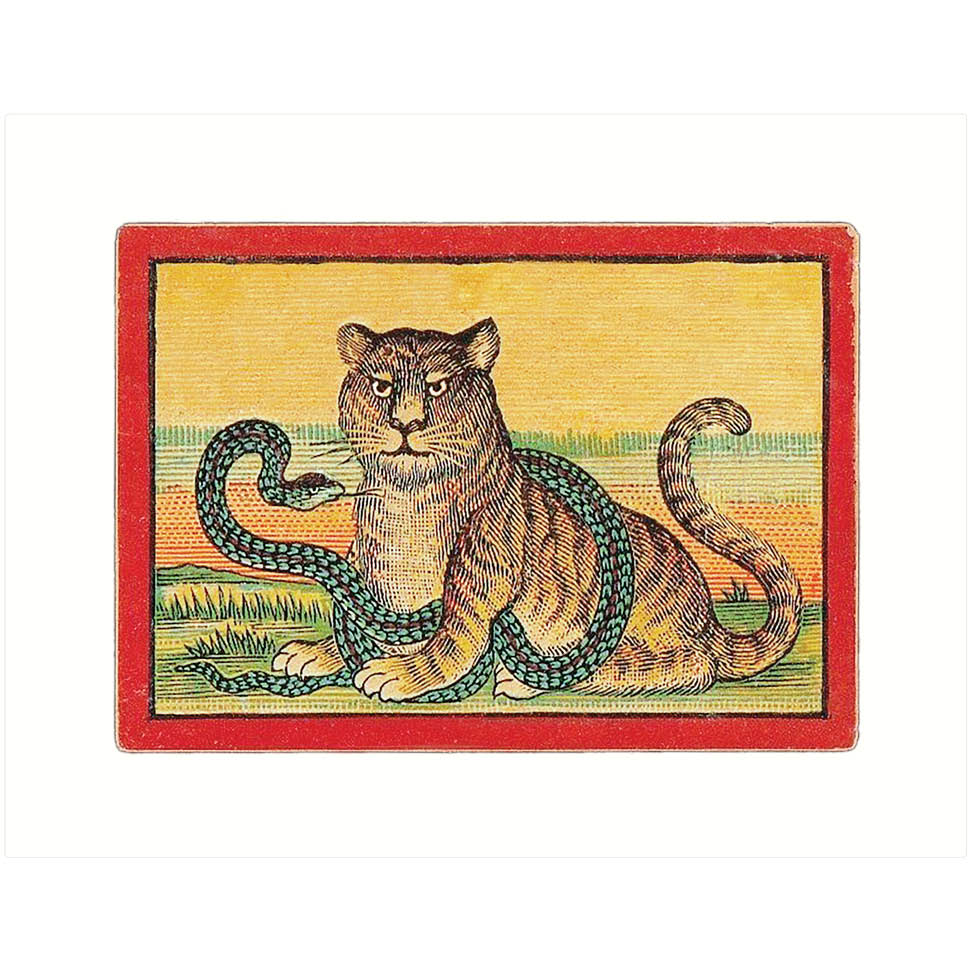 Tiger & Snake