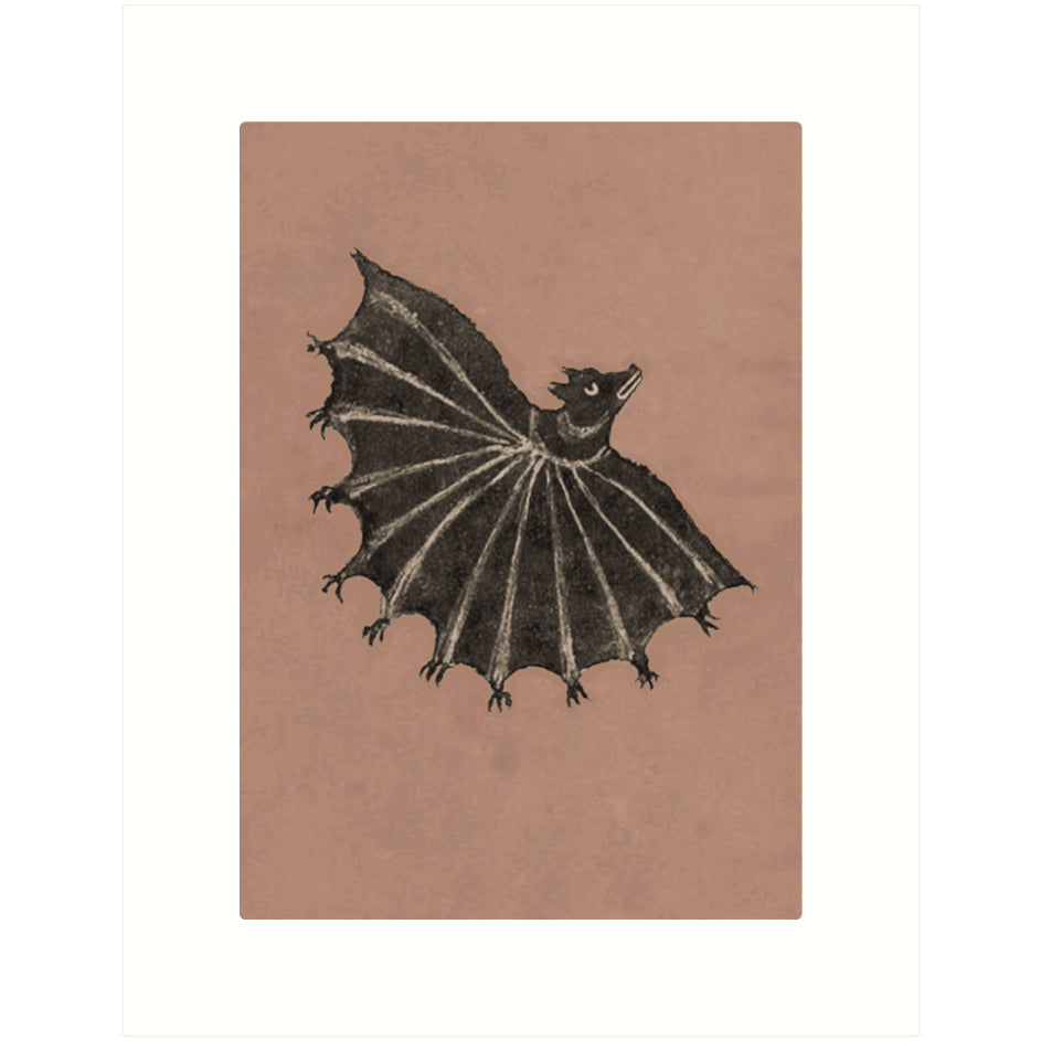 Medieval Bat