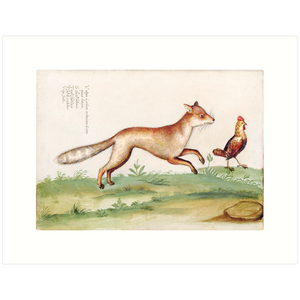 Fox & Rooster