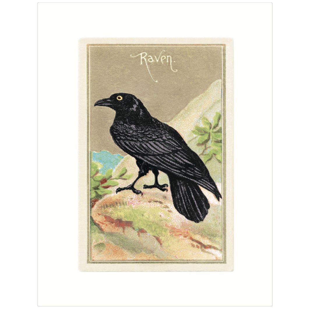 Raven 1