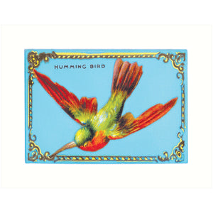 Hummingbird