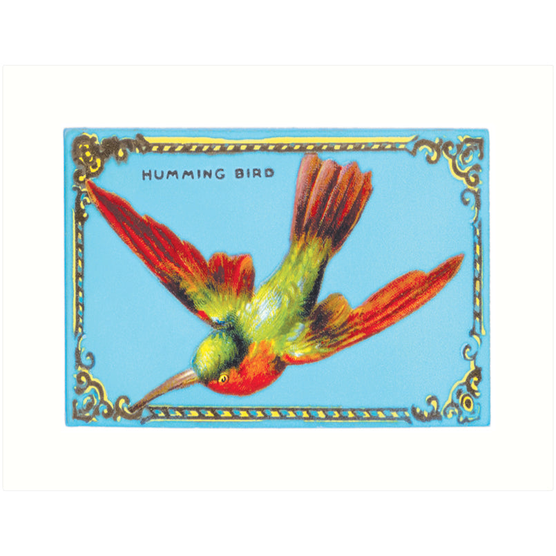 Hummingbird