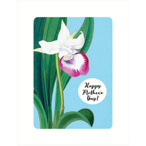 Mother's Day Orchid