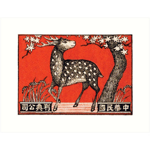Deer (MBL)