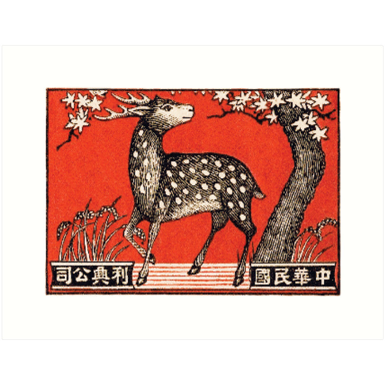 Deer (MBL)