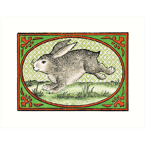 Rabbit