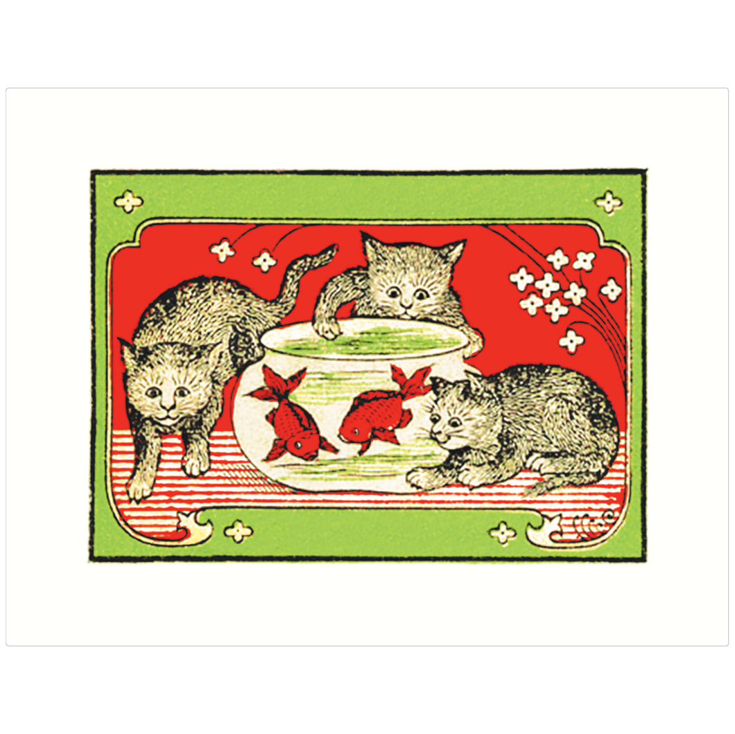 Cats & Goldfish