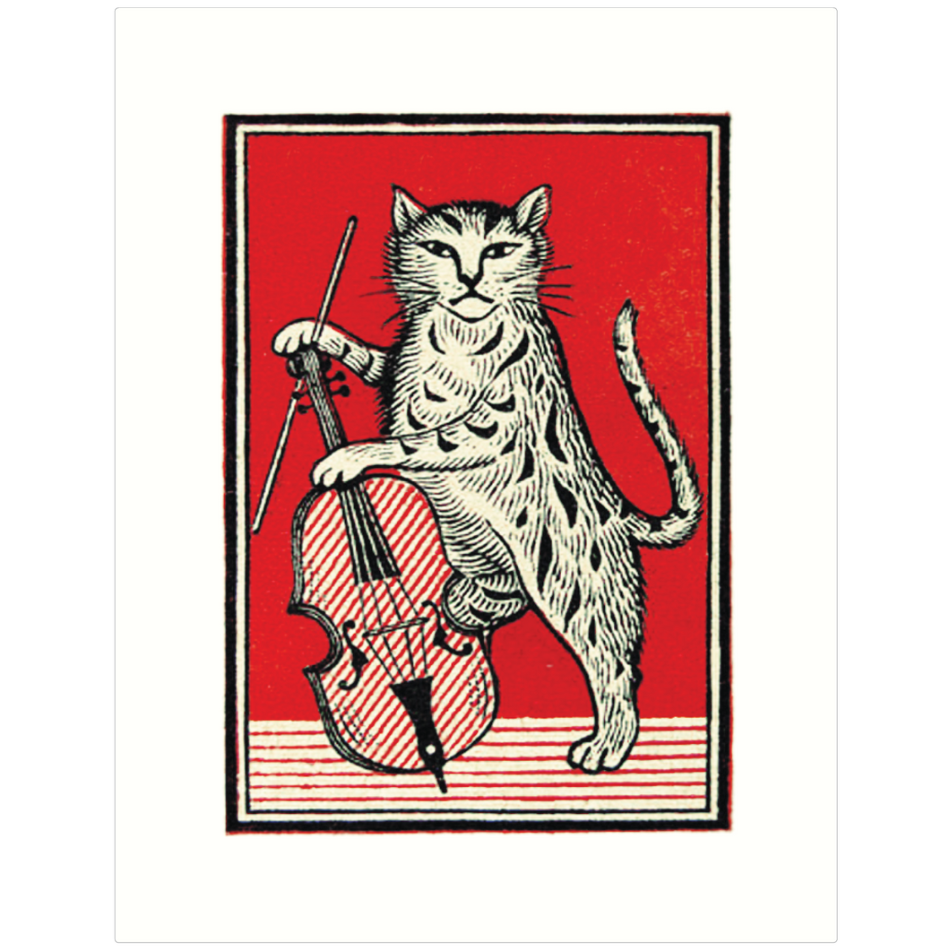 Cat Fiddler