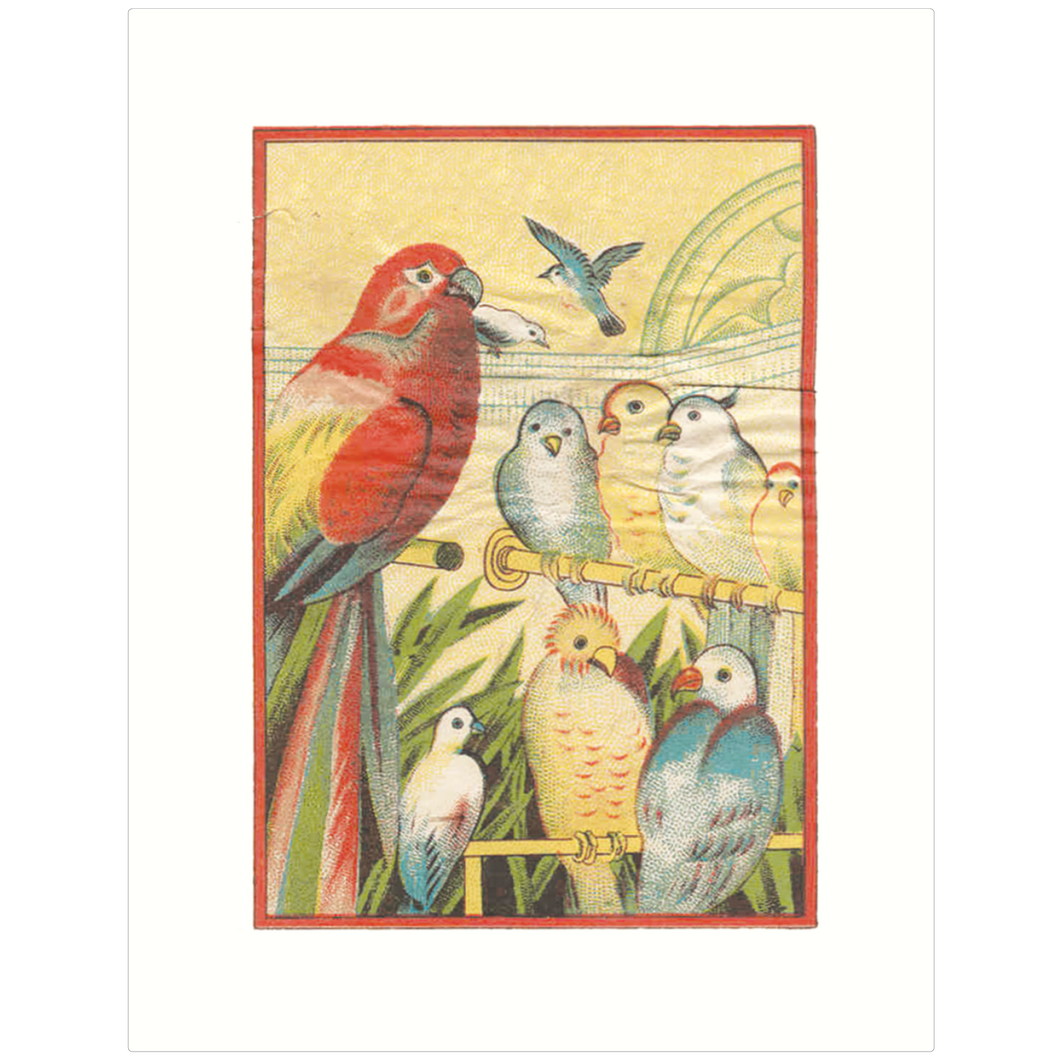 Nine Birds