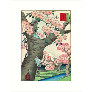 Cherry Blossoms - Hiroshige