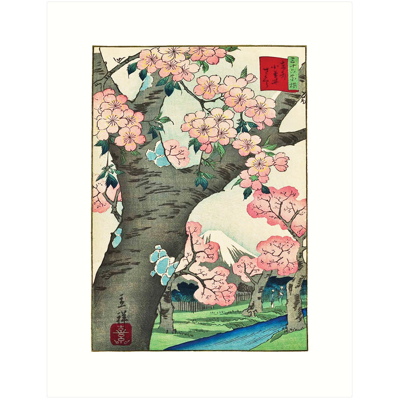 C6221ESM - Blooming Expressions: Greeting Card