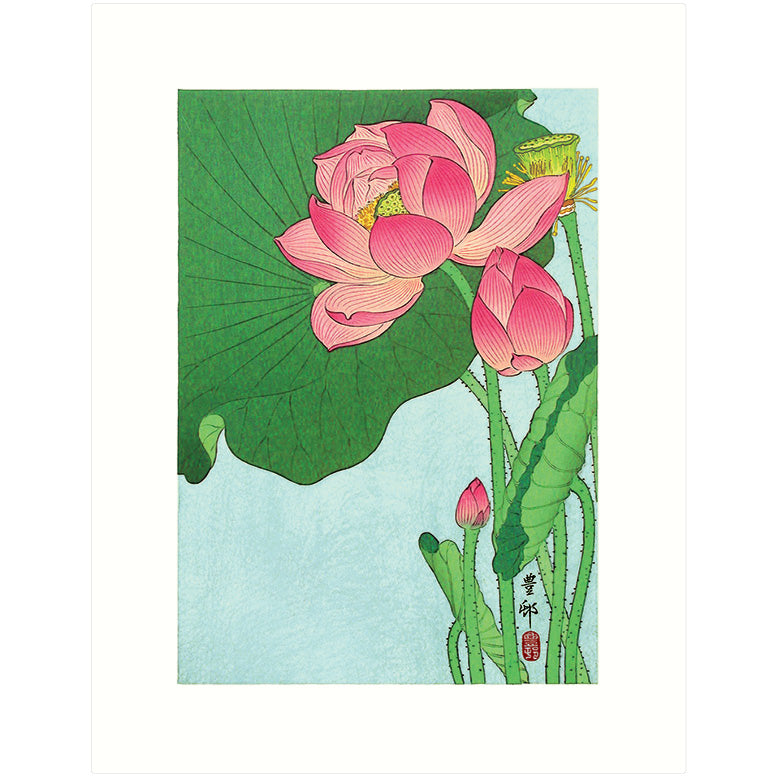 Flowering Lotus – Koson