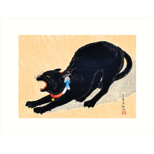 Cat with Bell - Takahashi