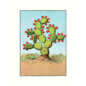 Prickly Pear II