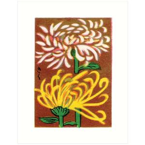 Chrysanthemum
