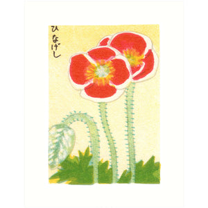 Poppy
