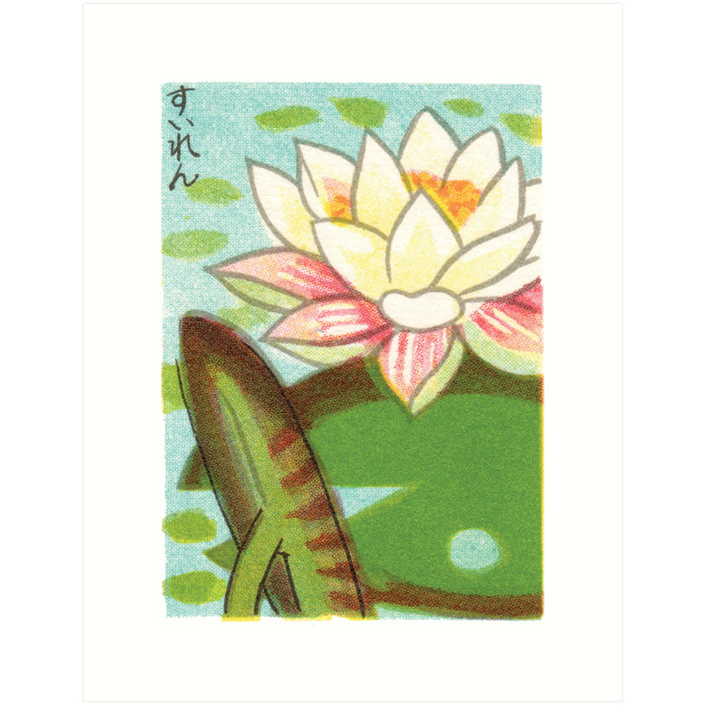 Water Lily